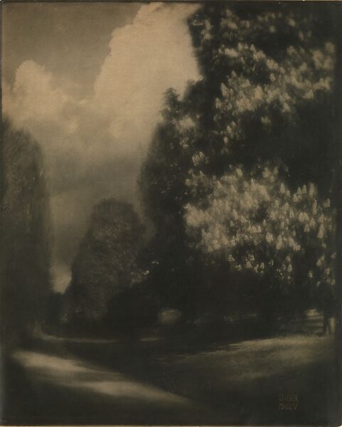 Chestnut Blossoms, Edward J. Steichen (American (born Luxembourg), Bivange 1879–1973 West Redding, Connecticut), Gum bichromate over platinum print 