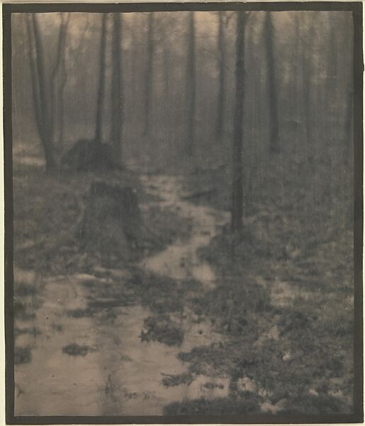 Woods Interior, Edward J. Steichen (American (born Luxembourg), Bivange 1879–1973 West Redding, Connecticut), Platinum print 