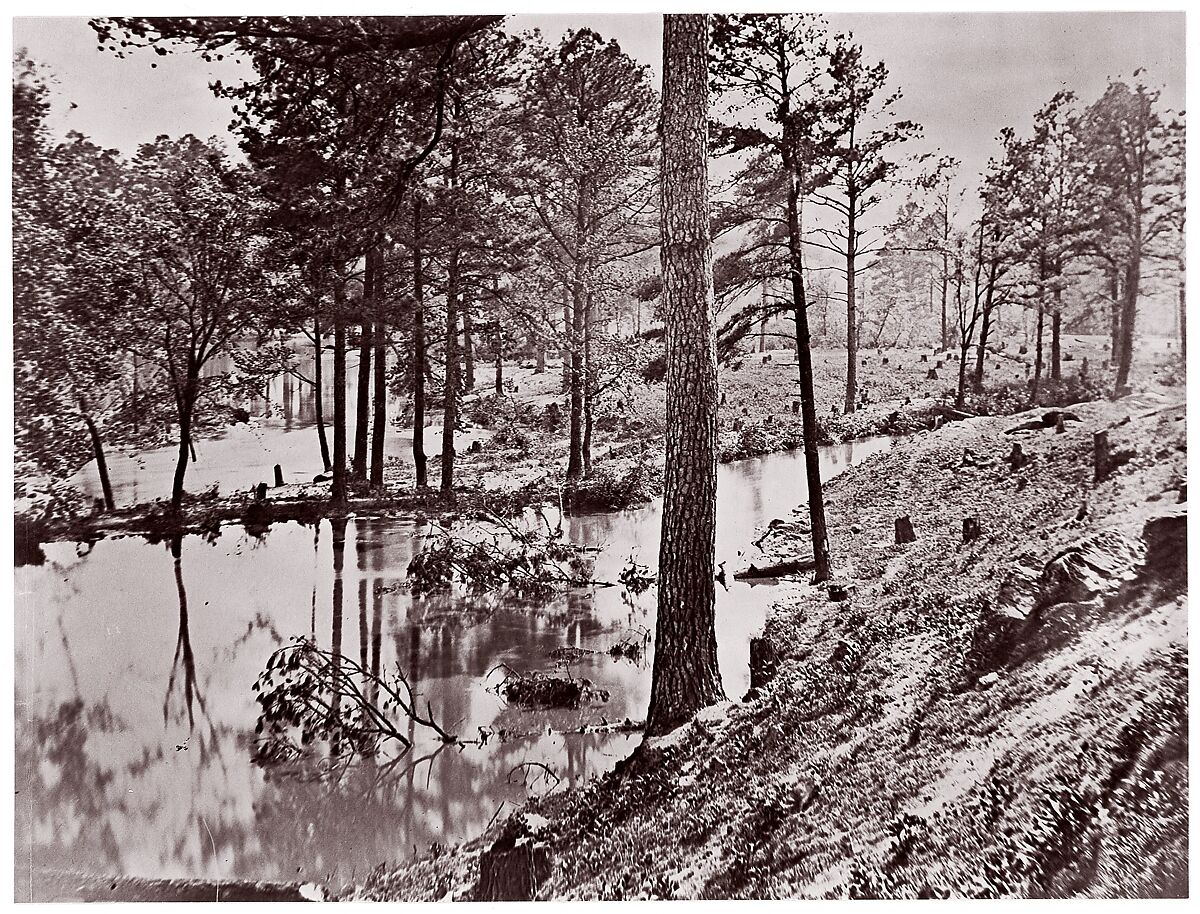 [Swamp Near Broadway Landing, Appomattox River, Virginia], Attributed to William Frank Browne (American), Albumen silver print from glass negative 