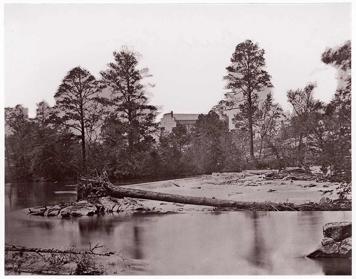 [Fallen Tree, Bull Run, Virginia], Possibly by George N. Barnard (American, 1819–1902), Albumen silver print from glass negative 