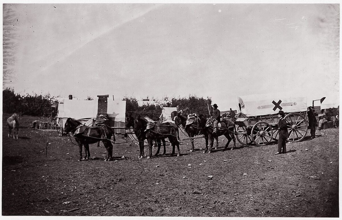 The Crack Team of the 1st Division, 6th Corps near Hazel River, Virginia, Timothy H. O&#39;Sullivan (American, born Ireland, 1840–1882), Albumen silver print from glass negative 