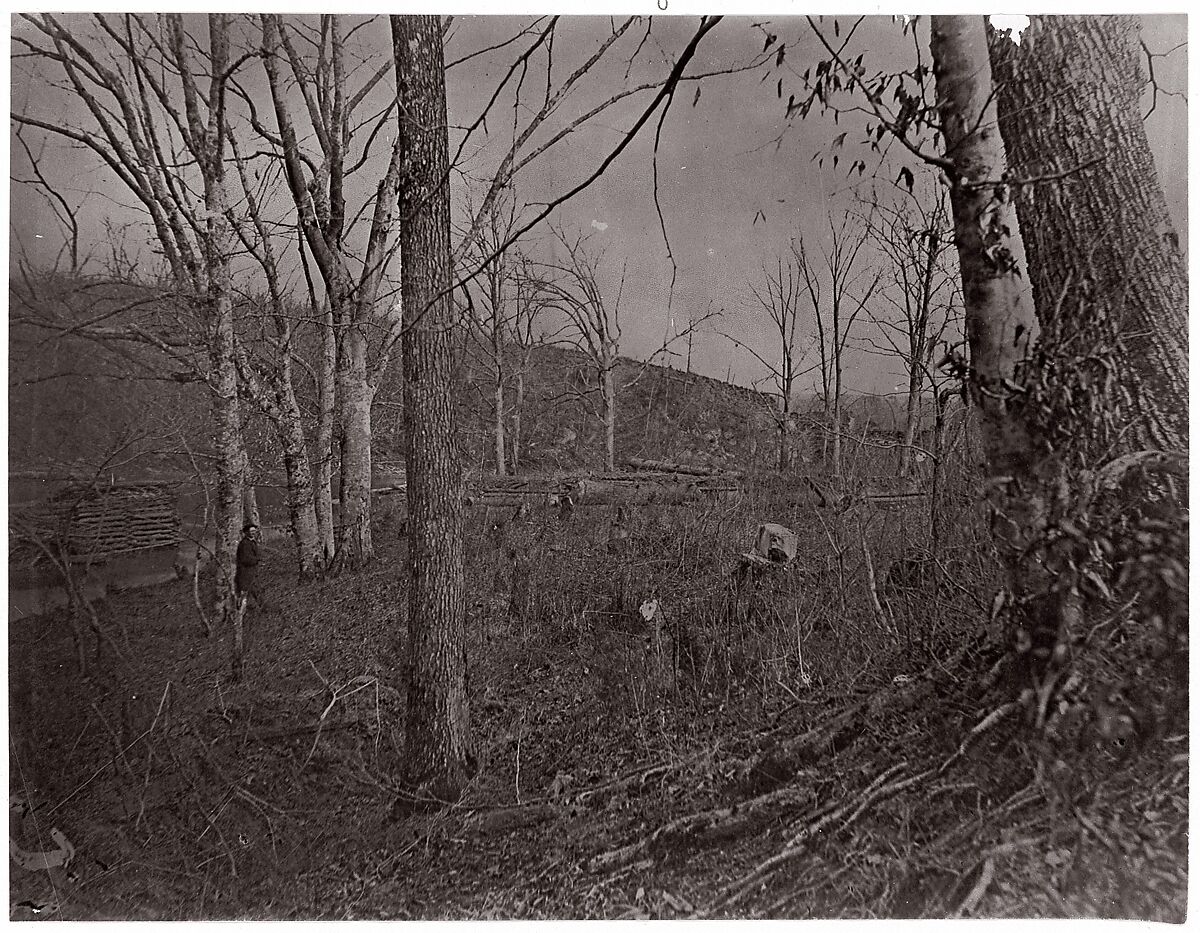 Bull Run, Virginia, George N. Barnard (American, 1819–1902), Albumen silver print from glass negative 
