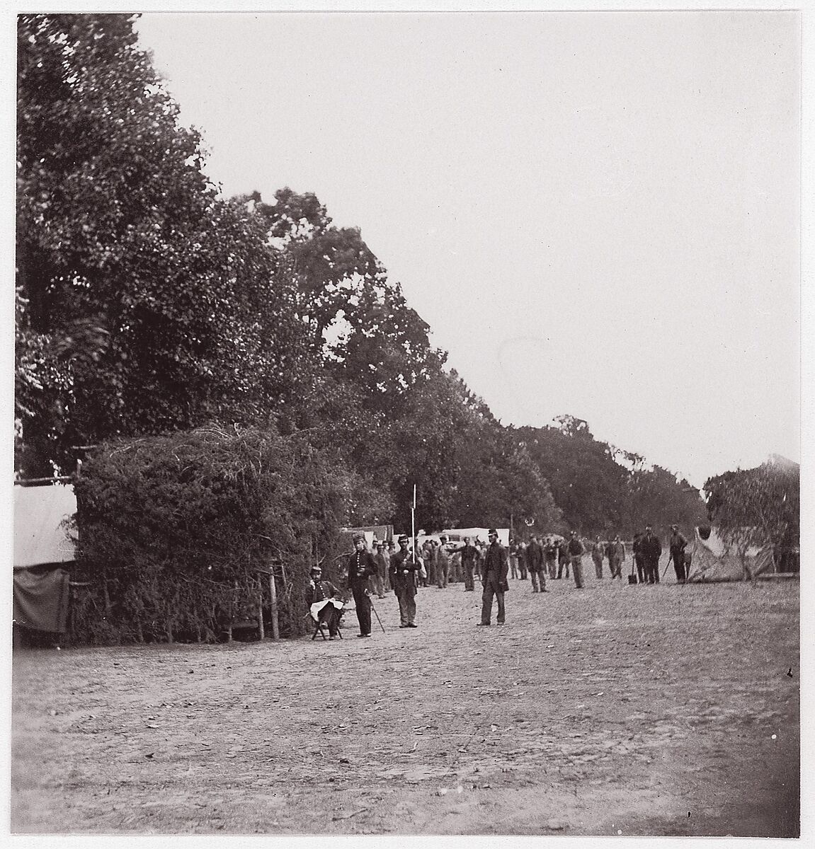 [Encampment alongside a stand of trees].  Brady album, p. 123, Unknown (American), Albumen silver print from glass negative 