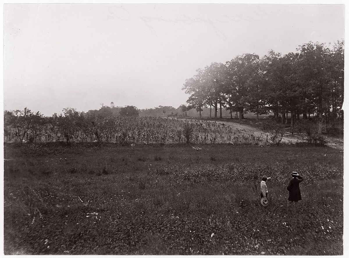 [Battlefield of Gettysburg, Pennsylvania (Scene of General Reynold's Death, The Eastern Edge of McPherson's Woods, view looking toward Seminary Ridge)], Unknown (American), Albumen silver print from glass negative 