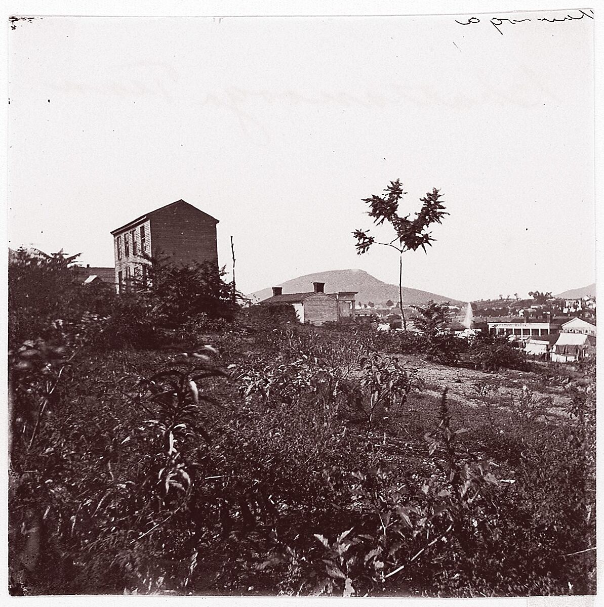 [View of Houses on Hillside, Chattanooga, Tennessee], Attributed to George N. Barnard (American, 1819–1902), Albumen silver print from glass negative 