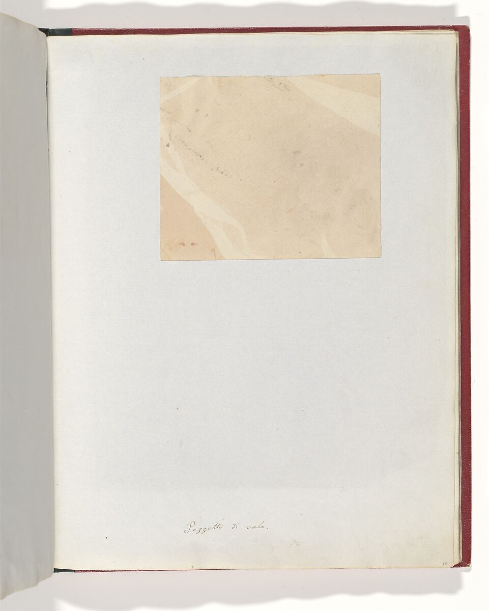 Album di disegni fotogenici, William Henry Fox Talbot (British, Dorset 1800–1877 Lacock), Salted paper prints