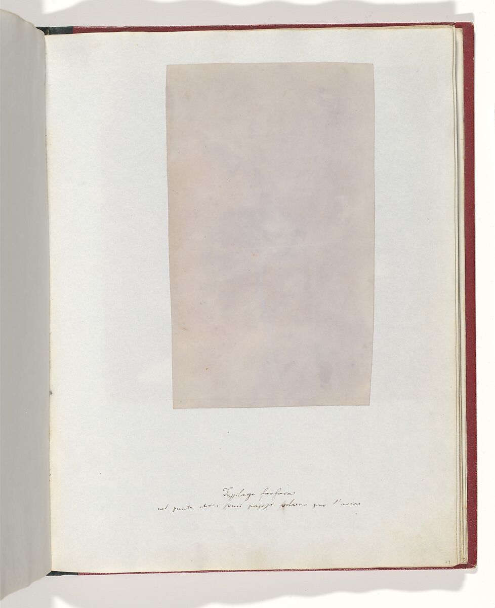 Album di disegni fotogenici, William Henry Fox Talbot (British, Dorset 1800–1877 Lacock), Salted paper prints