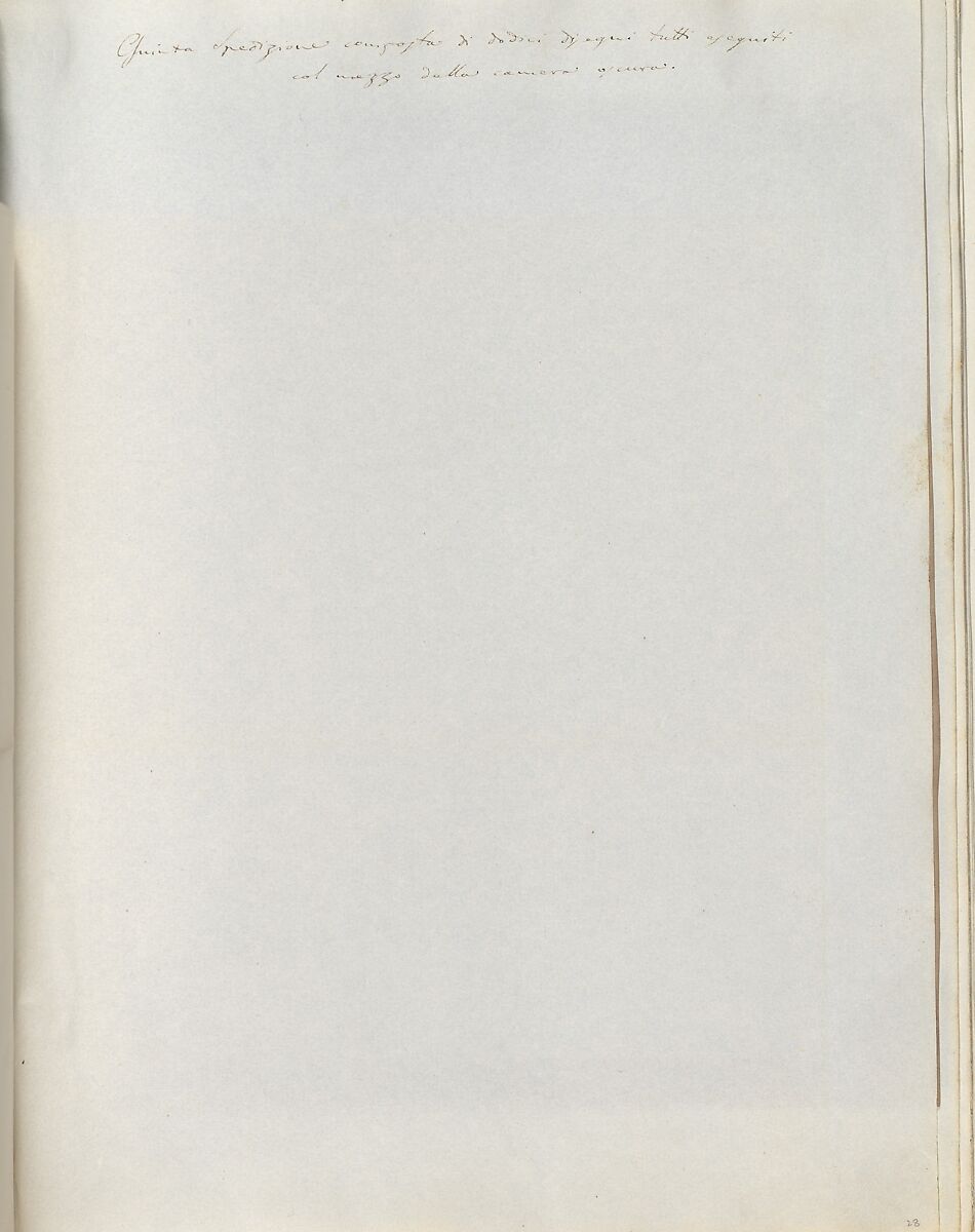 Album di disegni fotogenici, William Henry Fox Talbot (British, Dorset 1800–1877 Lacock), Salted paper prints