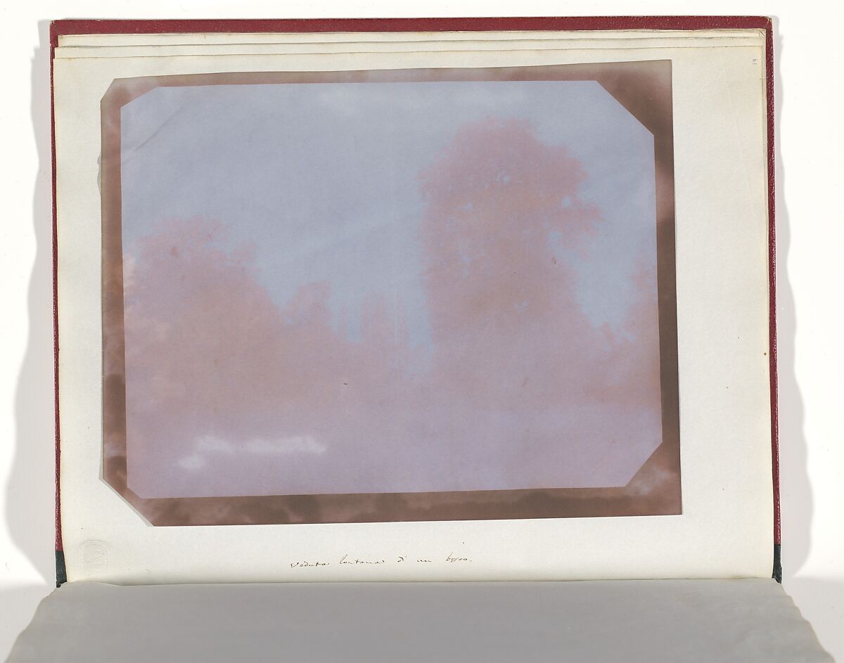 Album di disegni fotogenici, William Henry Fox Talbot (British, Dorset 1800–1877 Lacock), Salted paper prints