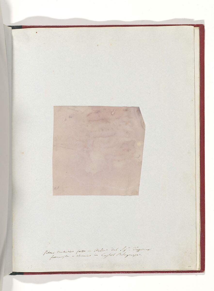 Album di disegni fotogenici, William Henry Fox Talbot (British, Dorset 1800–1877 Lacock), Salted paper prints