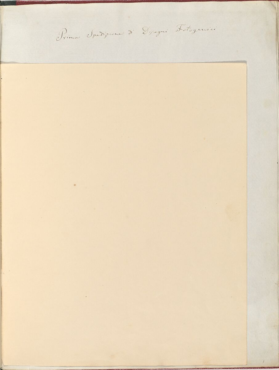 Album di disegni fotogenici, William Henry Fox Talbot (British, Dorset 1800–1877 Lacock), Salted paper prints