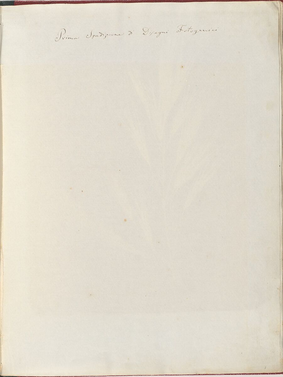 Album di disegni fotogenici, William Henry Fox Talbot (British, Dorset 1800–1877 Lacock), Salted paper prints