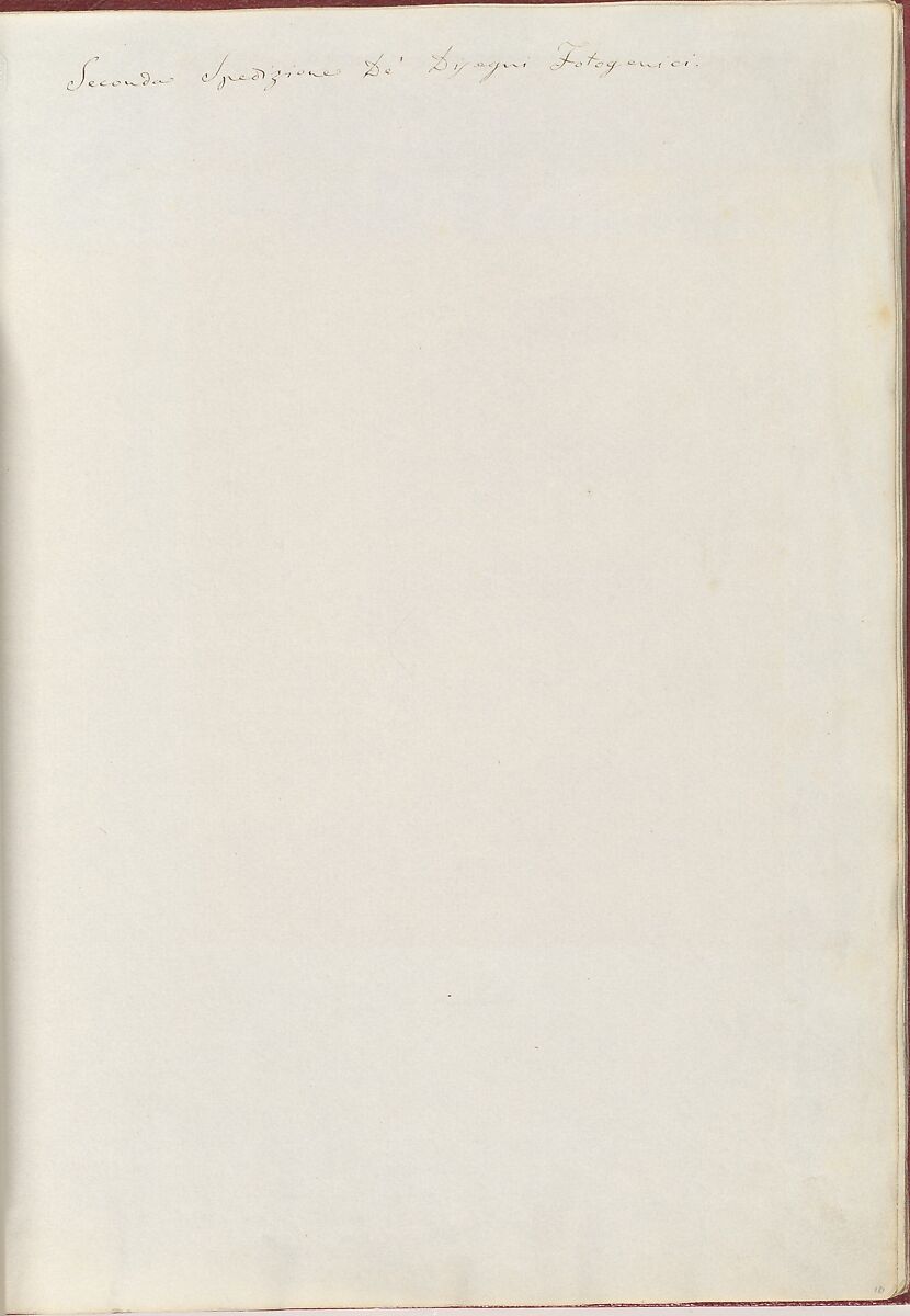 Album di disegni fotogenici, William Henry Fox Talbot (British, Dorset 1800–1877 Lacock), Salted paper prints