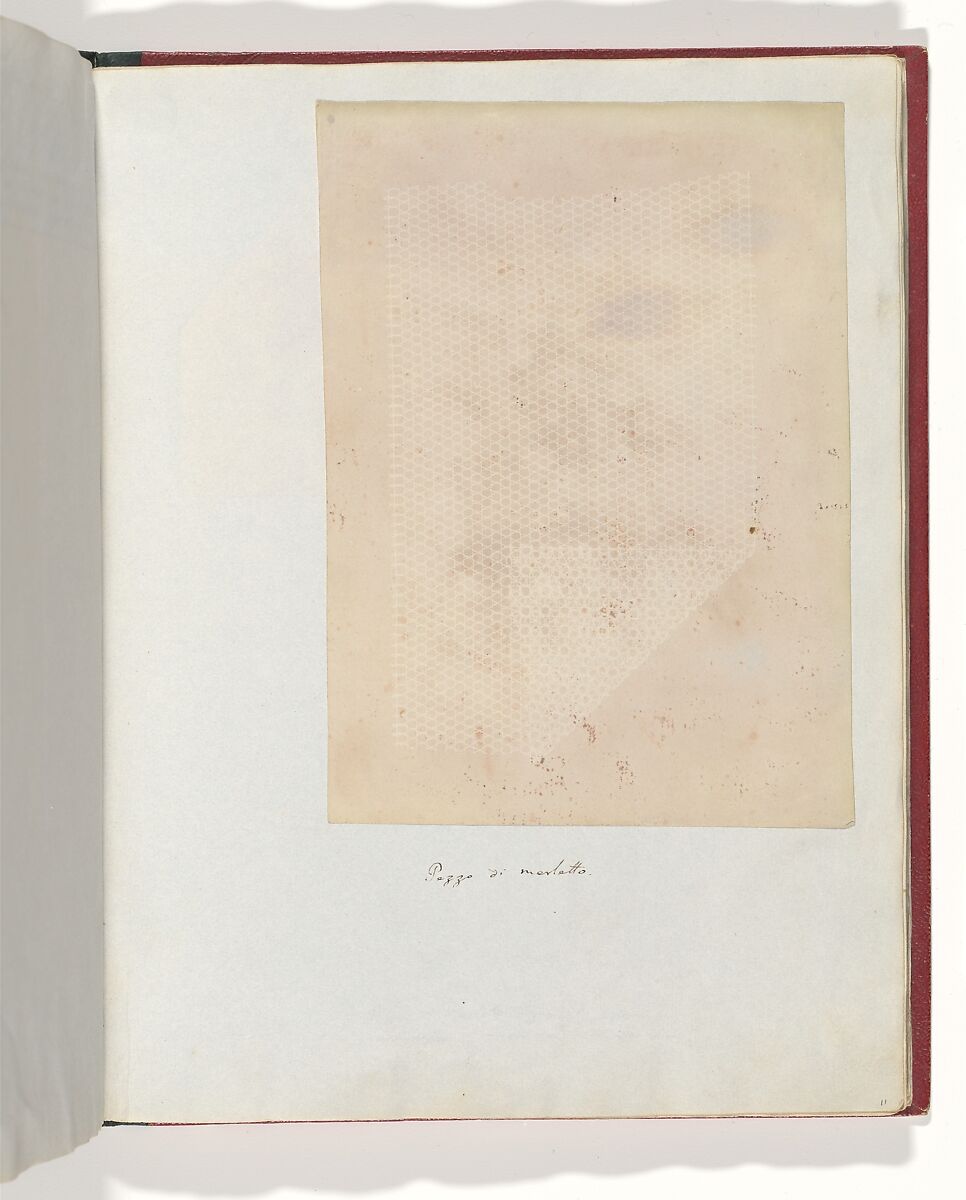 Album di disegni fotogenici, William Henry Fox Talbot (British, Dorset 1800–1877 Lacock), Salted paper prints
