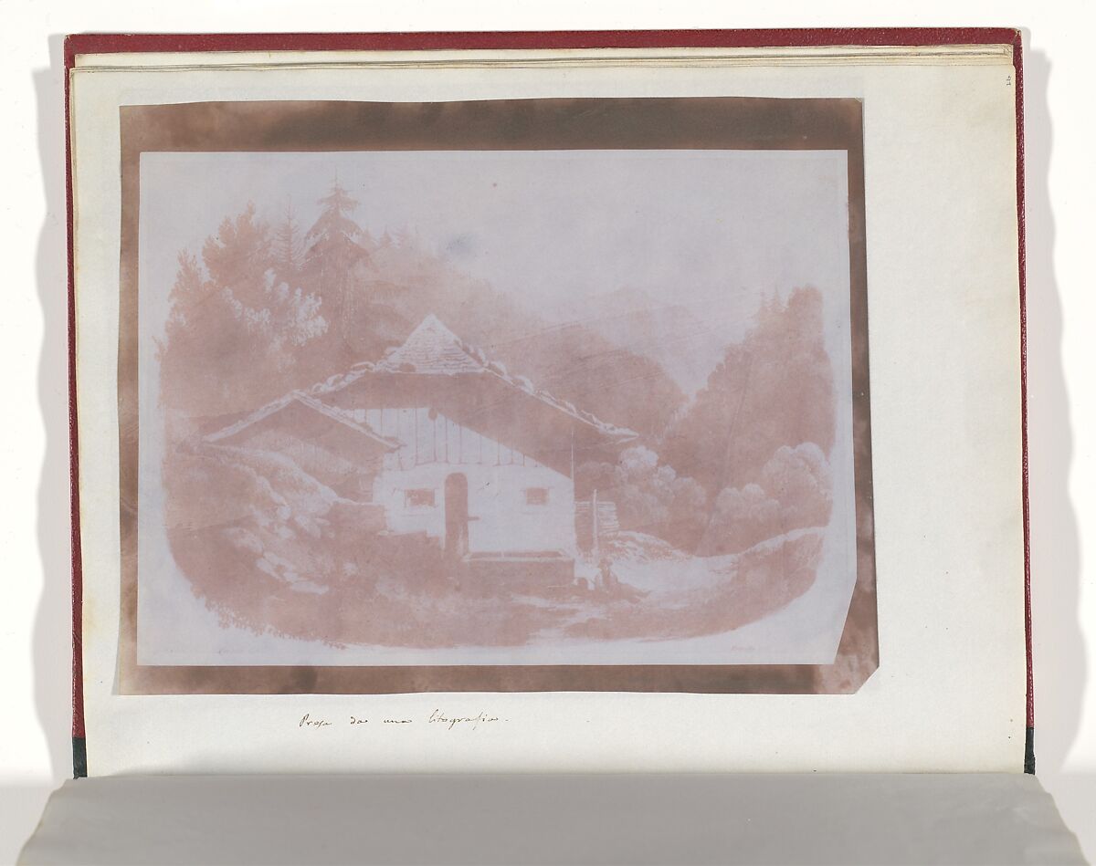 Album di disegni fotogenici, William Henry Fox Talbot (British, Dorset 1800–1877 Lacock), Salted paper prints