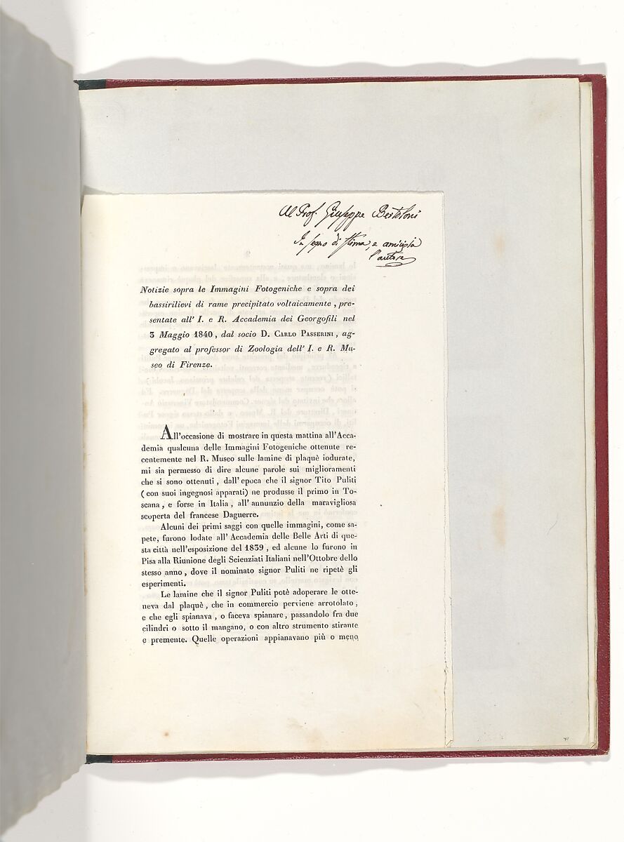 Album di disegni fotogenici, William Henry Fox Talbot (British, Dorset 1800–1877 Lacock), Salted paper prints