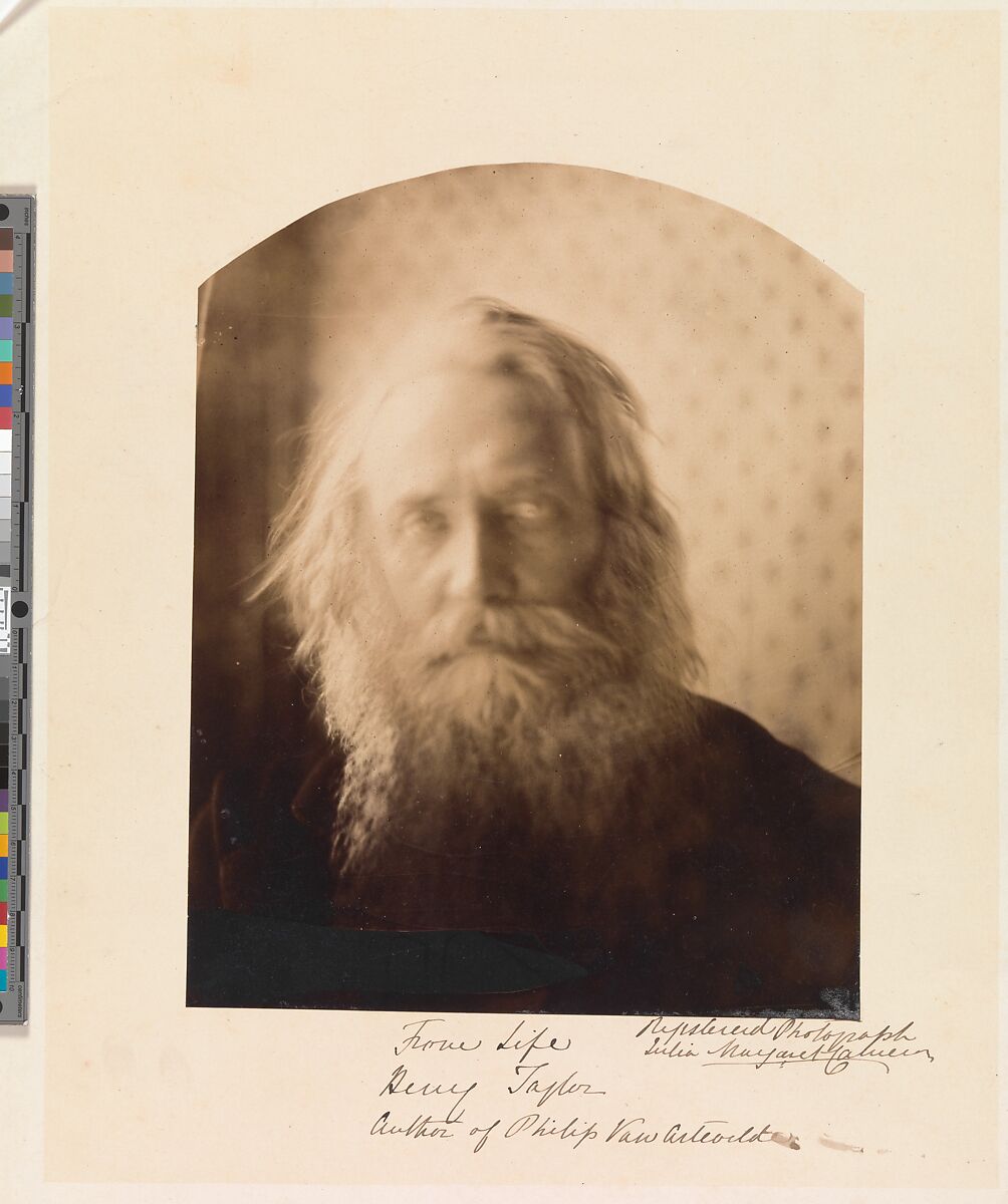 Henry Taylor. Author of "Philip Van Artevelde", Julia Margaret Cameron (British (born India), Calcutta 1815–1879 Kalutara, Ceylon), Albumen silver print from glass negative 