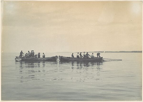 Hauling in Nets, Long Island Sound