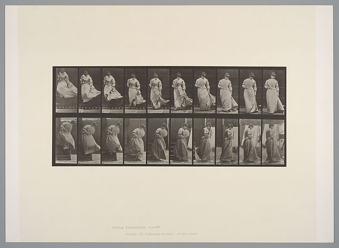 [Woman with a Fan]