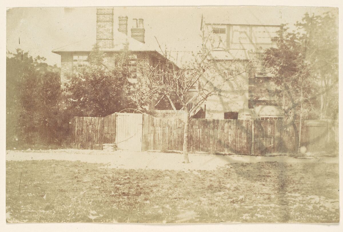 [Tree in Yard], Attributed to Samuel Buckle (British, 1809?–1860), Salted paper print from paper negative 