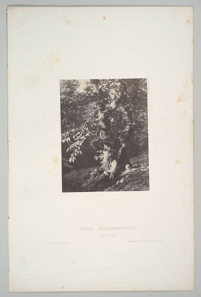 Homme allongé au pied d'un chàtaignier, Charles Marville (French, Paris 1813–1879 Paris), Salted paper print (Blanquart-Évrard process) from paper negative