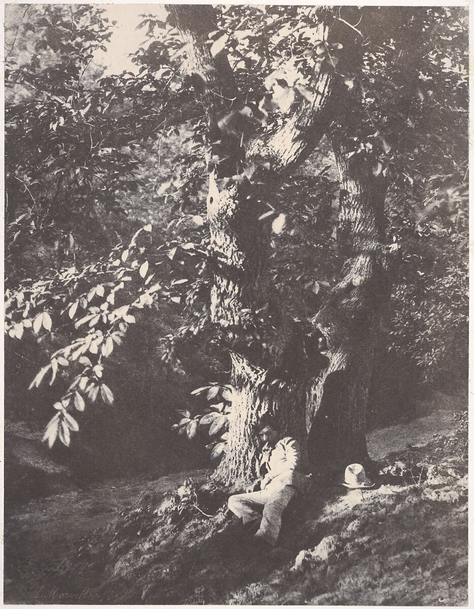 Homme allongé au pied d'un chàtaignier, Charles Marville  French, Salted paper print (Blanquart-Évrard process) from paper negative