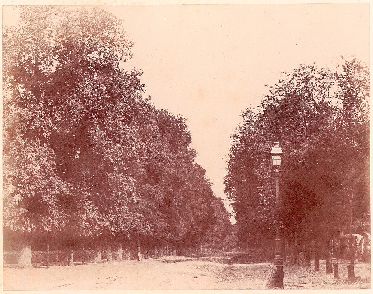 Allée bordée d'arbres, Charles Marville (French, Paris 1813–1879 Paris), Salted paper print (Blanquart-Évrard process) from paper negative 