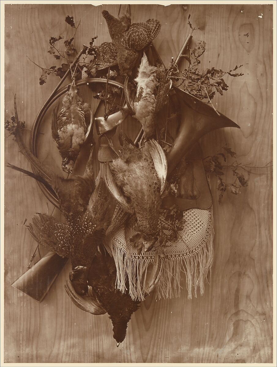 Pheasant and Grouse, Adolphe Braun (French, Besançon 1811–1877 Dornach), Carbon print 