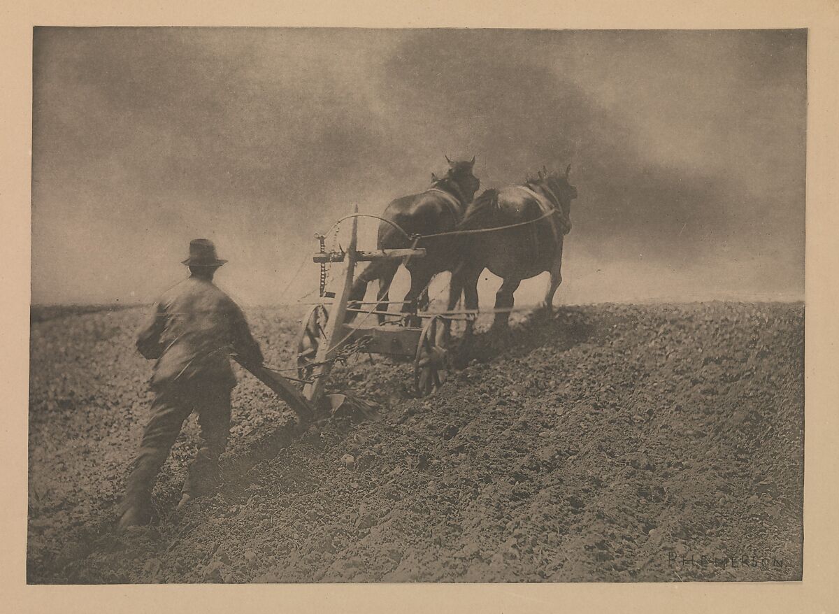 A Stiff Pull, Peter Henry Emerson (British (born Cuba), 1856–1936), Photogravure 