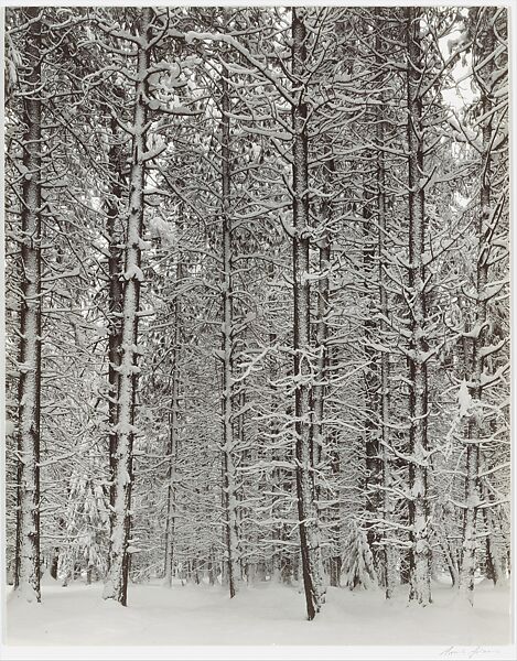 Winter Yosemite Valley, Ansel Easton Adams (American, San Francisco, California 1902–1984 Carmel, California), Gelatin silver print 