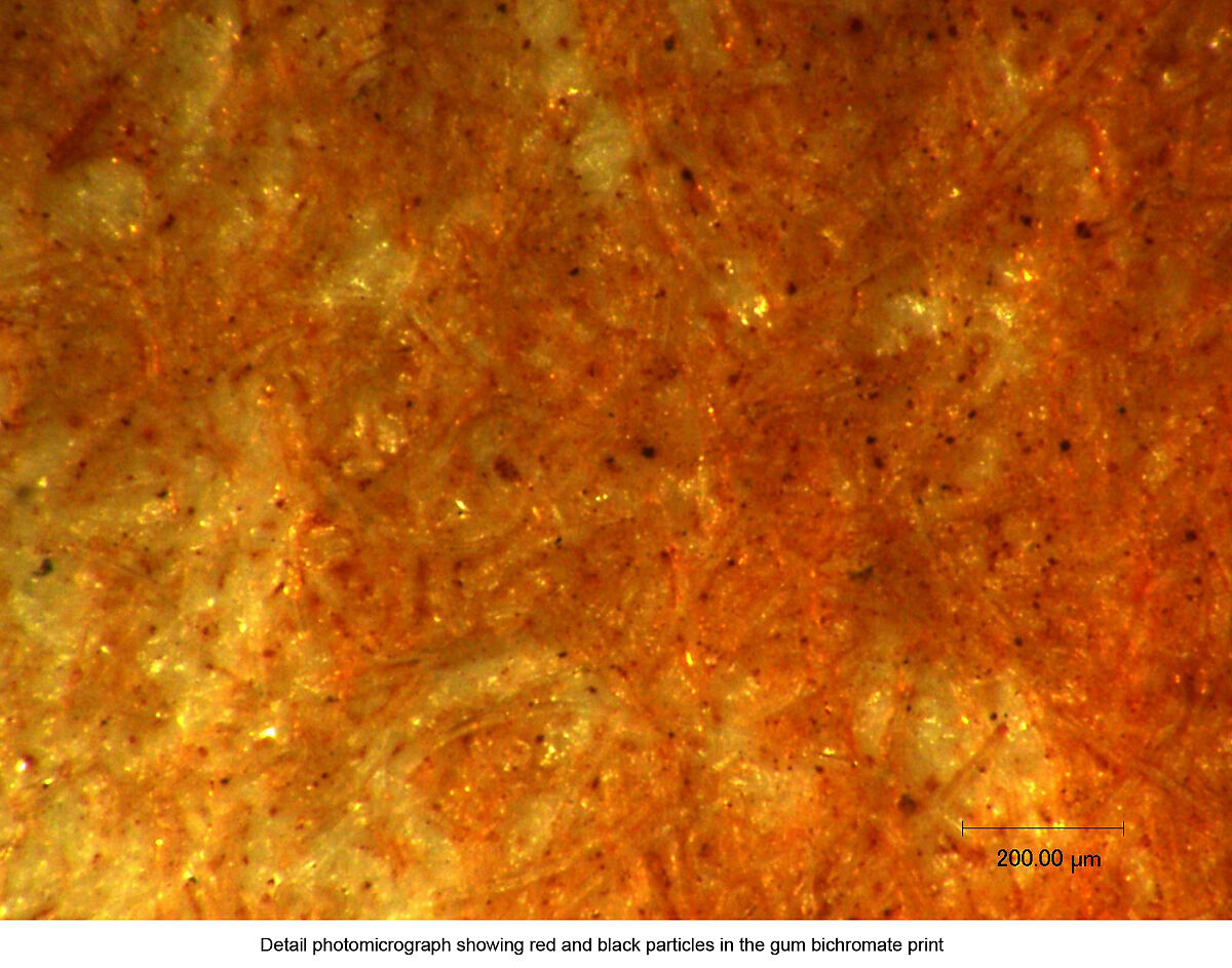 [Study in Orange], René Le Bègue (French, 1857–1914), Gum bichromate print