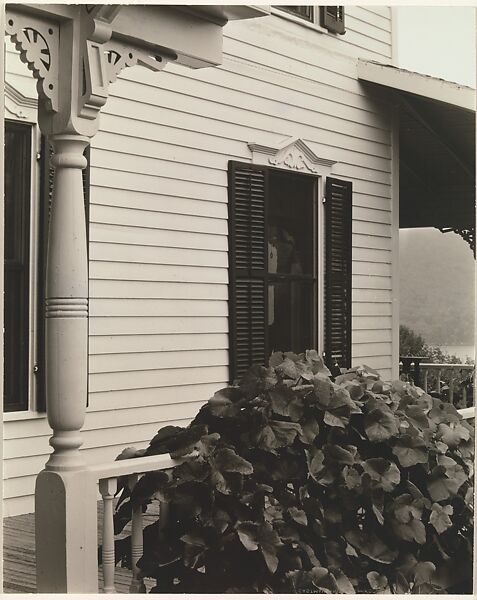 House and Grape Leaves, Alfred Stieglitz (American, Hoboken, New Jersey 1864–1946 New York), Gelatin silver print 