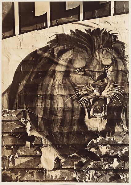 [Torn Circus Poster: Lion], Walker Evans (American, St. Louis, Missouri 1903–1975 New Haven, Connecticut), Gelatin silver print 