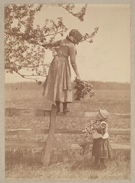 Apple Blossoms, Louis C. Tiffany (American, New York 1848–1933 New York), Albumen silver print 