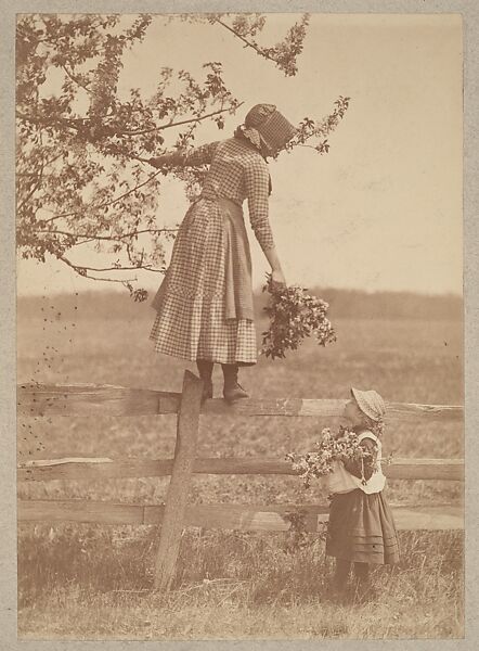 Louis C. Tiffany | Apple Blossoms | The Metropolitan Museum of Art