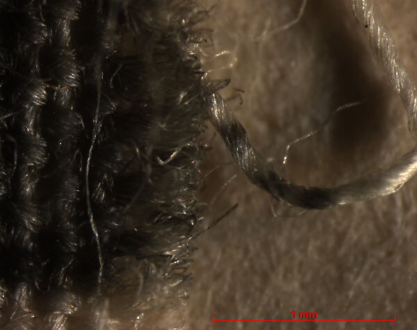 [Needlework Altar Cloth, Durham], Frederick H. Evans (British, London 1853–1943 London), Platinum print on cotton fabric