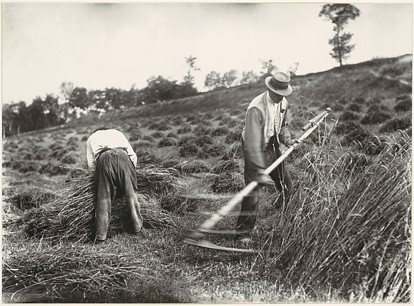 Faucheurs, Somme, Eugène Atget (French, Libourne 1857–1927 Paris), Gelatin silver print from glass negative 