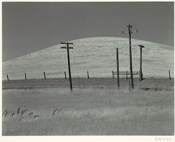 Hills and Poles, Solano County, Edward Weston (American, Highland Park, Illinois 1886–1958 Carmel, California), Gelatin silver print 