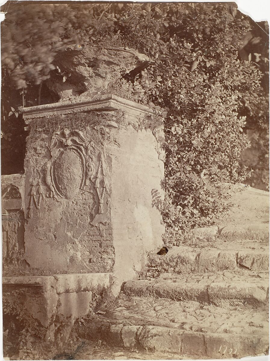 [Ruins in a Garden], Unknown (French), Albumen silver print 
