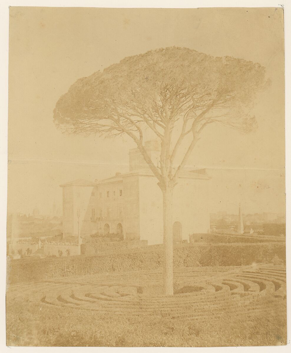 [Tree in Formal Garden Outside Palazzo], Giacomo Caneva (Italian, 1812–1865), Albumen silver print from glass negative 