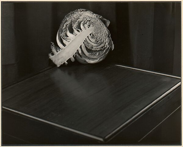Cabbage, Johan Hagemeyer (American (born The Netherlands), 1884–1962), Gelatin silver print 
