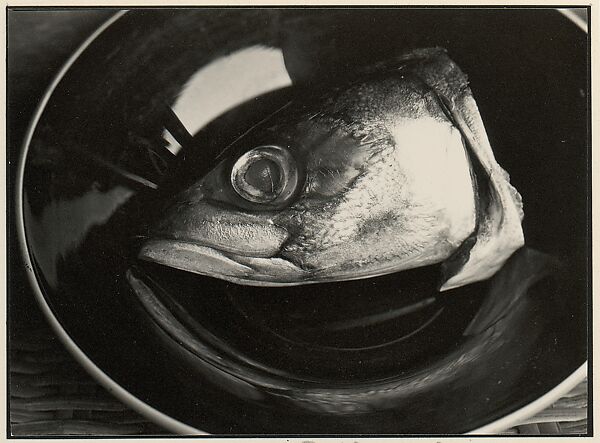 [Fish Head on Plate], Johan Hagemeyer (American (born The Netherlands), 1884–1962), Gelatin silver print 