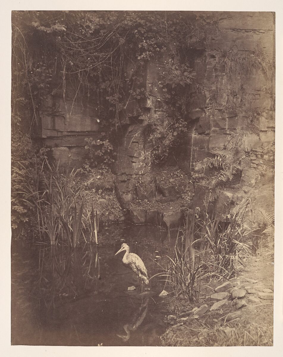 Piscator, No. 2, John Dillwyn Llewelyn (British, Swansea, Wales 1810–1882 Swansea, Wales), Albumen silver print 