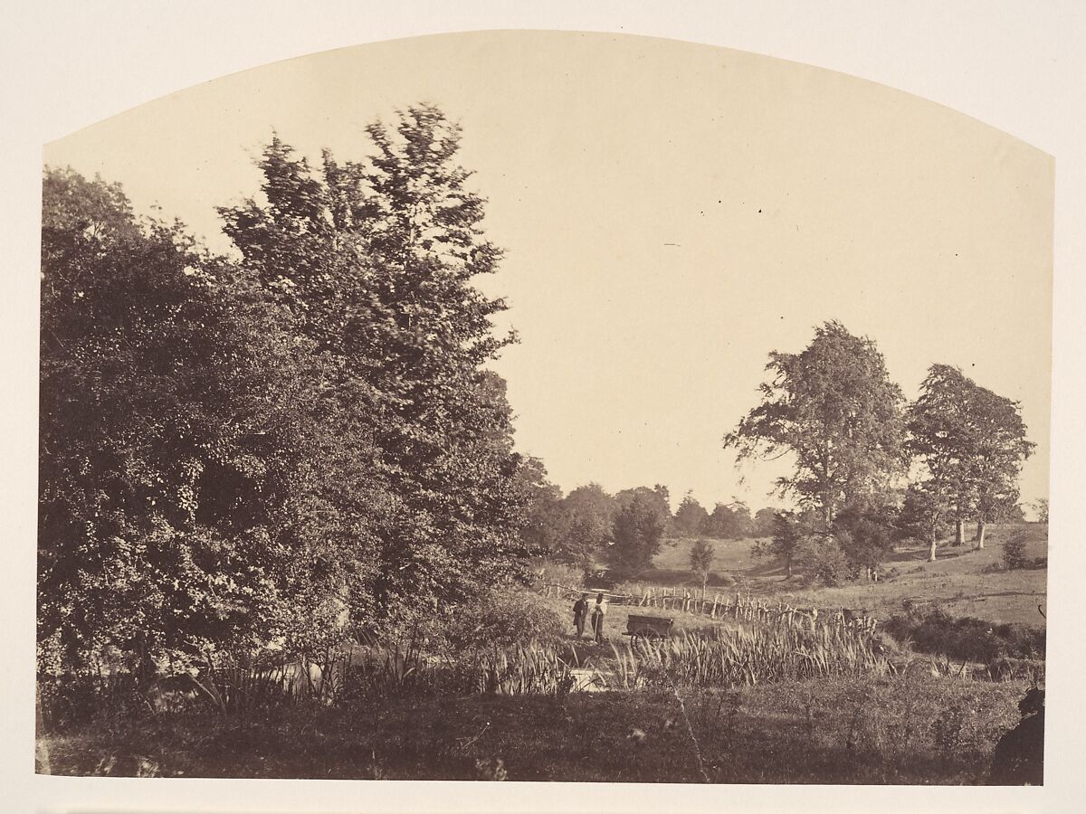 The Woodland Stream, Plunket (Irish), Albumen silver print 