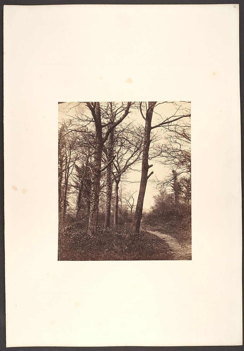 Winter, Charles Conway (British), Albumen silver print from glass negative 