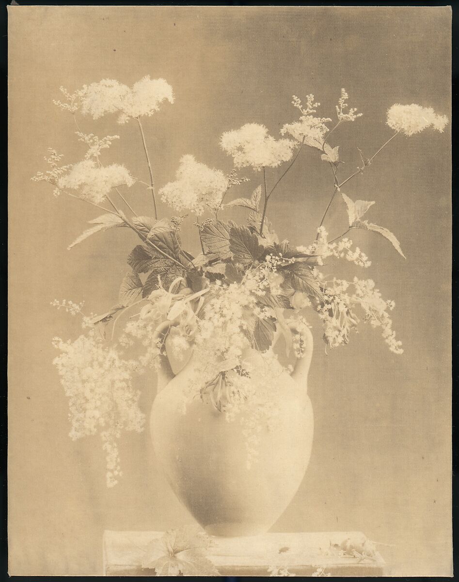 [Vase of Flowers], Unknown, Albumen silver print 
