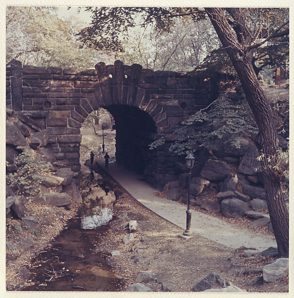 Central Park - New York, Peter Fink (American, 1907–1984), Chromogenic print 