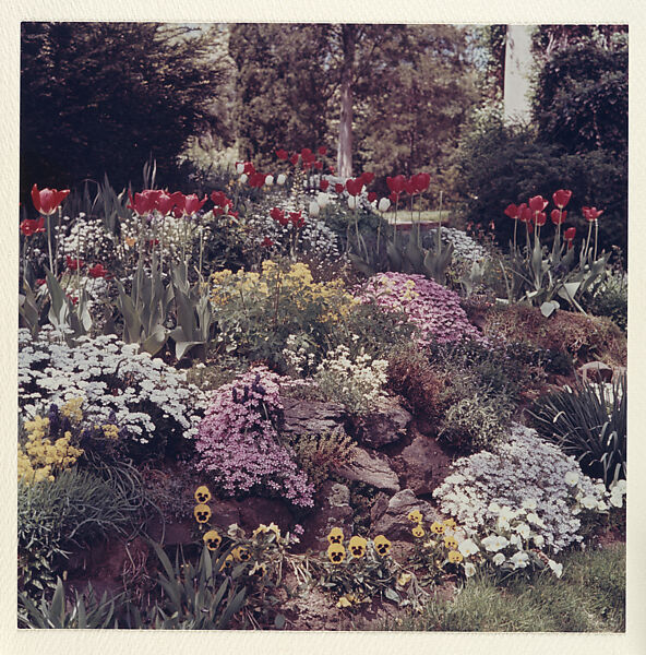 Garden - Pittsfield, New York, Peter Fink (American, 1907–1984), Chromogenic print 
