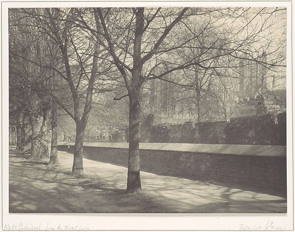 Wells Cathedral from the Moat Path