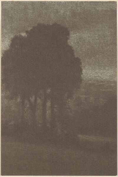[Trees], Frederick H. Evans (British, London 1853–1943 London), Gum bichromate print 